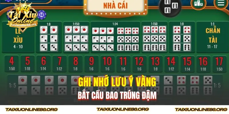 Ghi nhớ lưu ý vàng bắt cầu bao trúng đậm